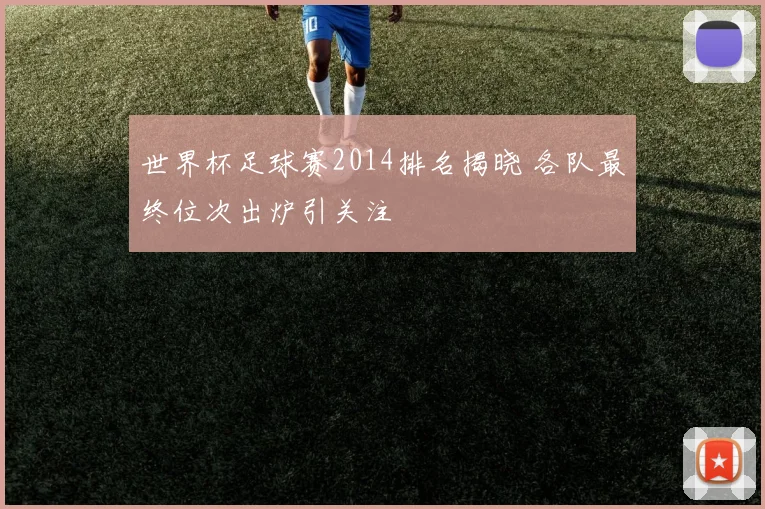 世界杯足球赛2014排名揭晓 各队最终位次出炉引关注