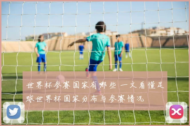 世界杯参赛国家有哪些 一文看懂足球世界杯国家分布与参赛情况