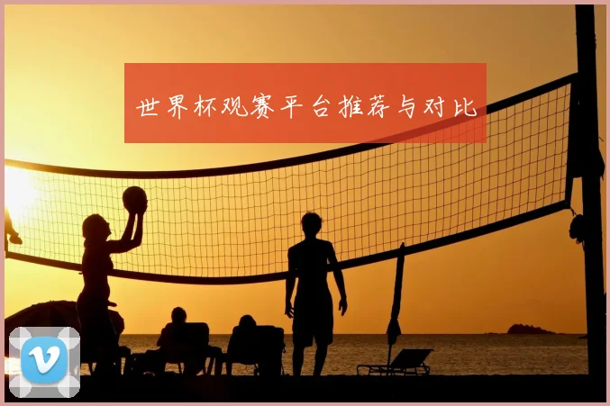 世界杯观赛平台推荐与对比