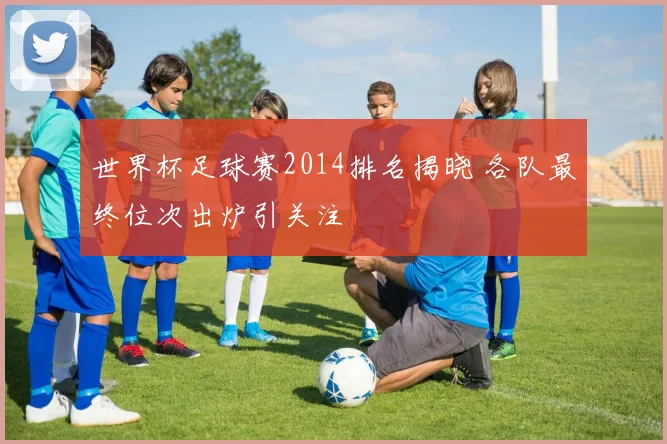 世界杯足球赛2014排名揭晓 各队最终位次出炉引关注