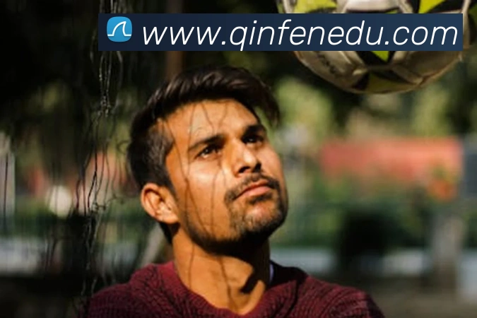 世界杯开户平台平台生态图